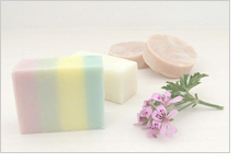 季節の石けんづくり